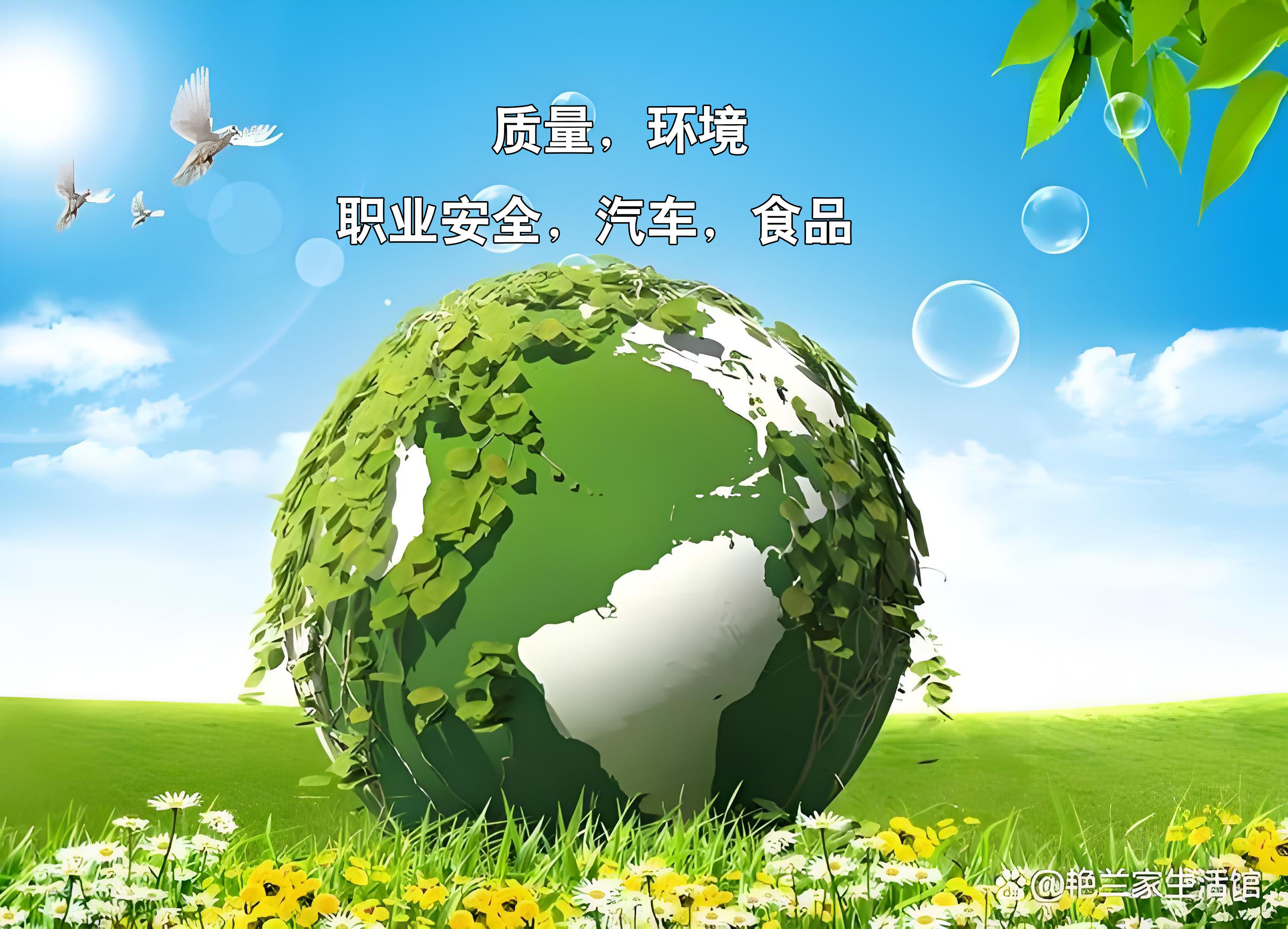 5合1(质量/环境/职业/汽车/食品)