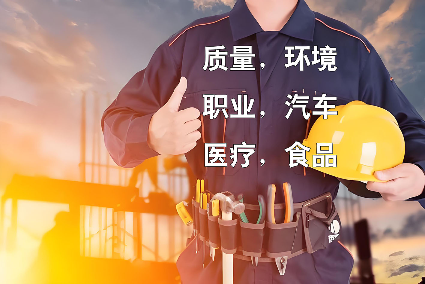 6合1(质量/环境/职业/汽车/医疗/食品)